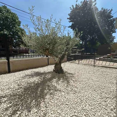Olajfa Apartman Hajdúszoboszló