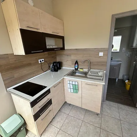Apartman Olajfa *