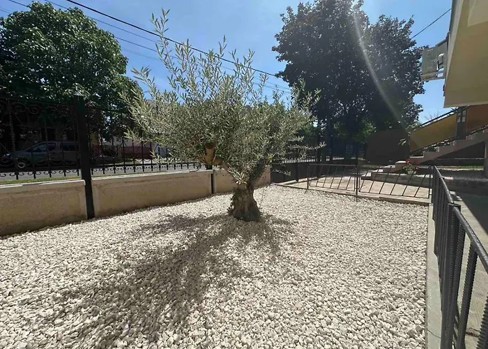 Olajfa Apartament Hajdúszoboszló